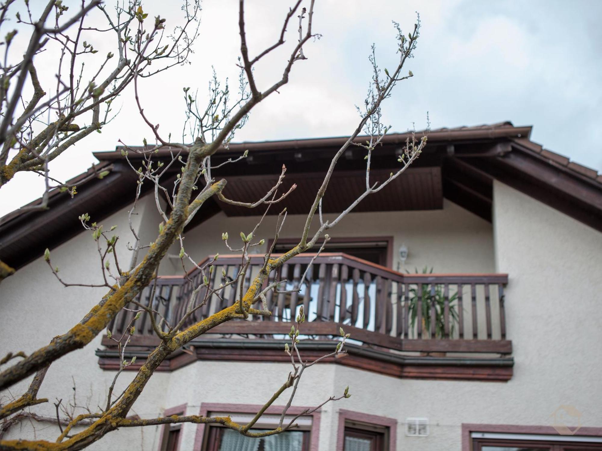Ferienwohnung Schillinger ساسباخ آم كايزرشتول المظهر الخارجي الصورة